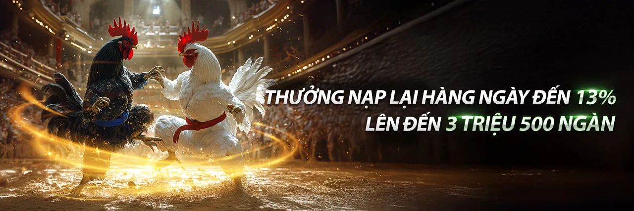 Đấu trường đá gà trực tuyến 5vip