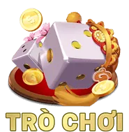 Hình ảnh minh họa chính sách cookie và việc sử dụng cookie trên 5vip